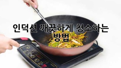 인덕션 깨끗하게 청소하는 방법