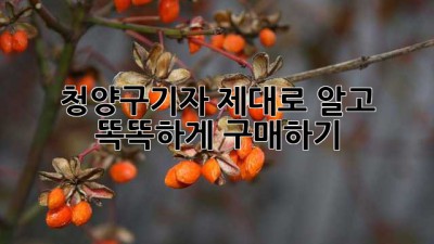 청양구기자, 제대로 알고 똑똑하게 구매하기! 💯