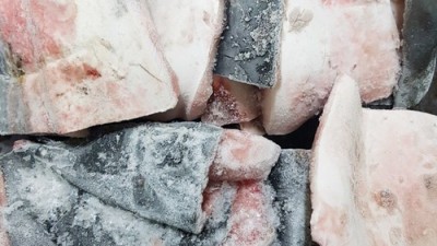 속초 배타기 후기: 핵꿀팁 대방출! 내돈내산 후기와 할인 정보까지!
