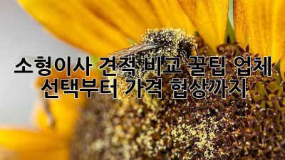 소형이사 견적 비교 꿀팁🍯 업체 선택부터 가격 협상까지!
